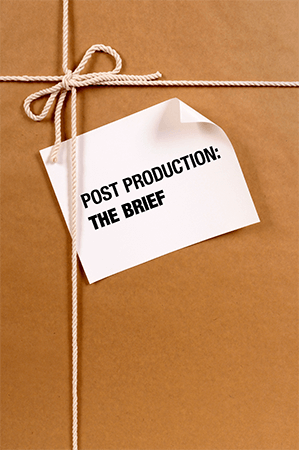 In Development: The Brief